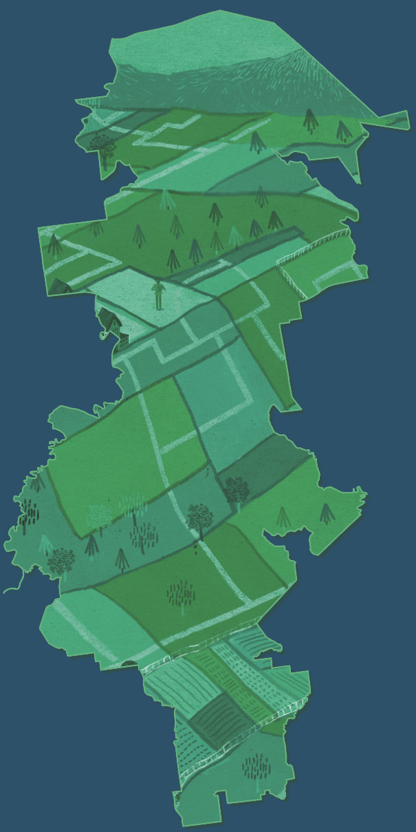 35672 - Regrid: Nationwide property data and mapping tools for everyone