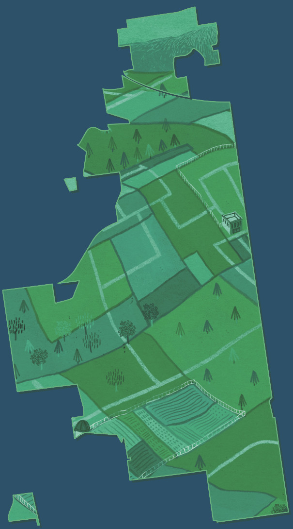 61821 - Regrid: Nationwide property data and mapping tools for everyone