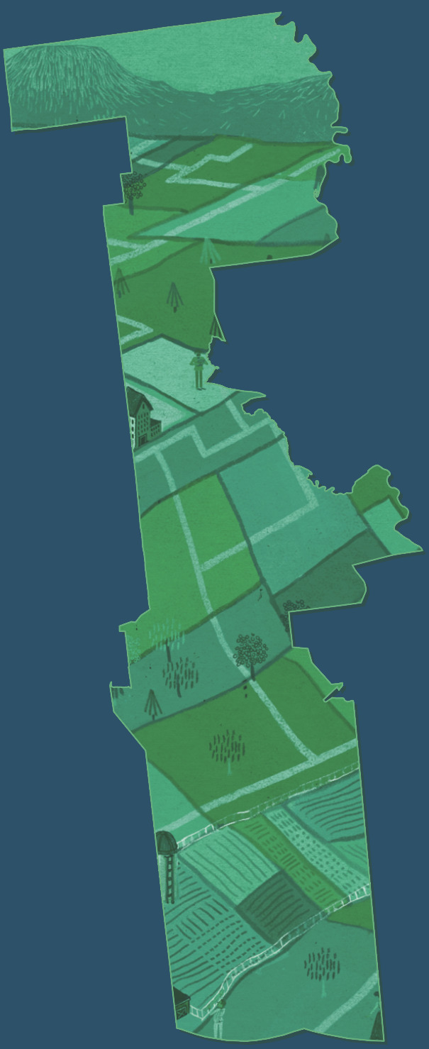5 - Regrid: Nationwide property data and mapping tools for everyone