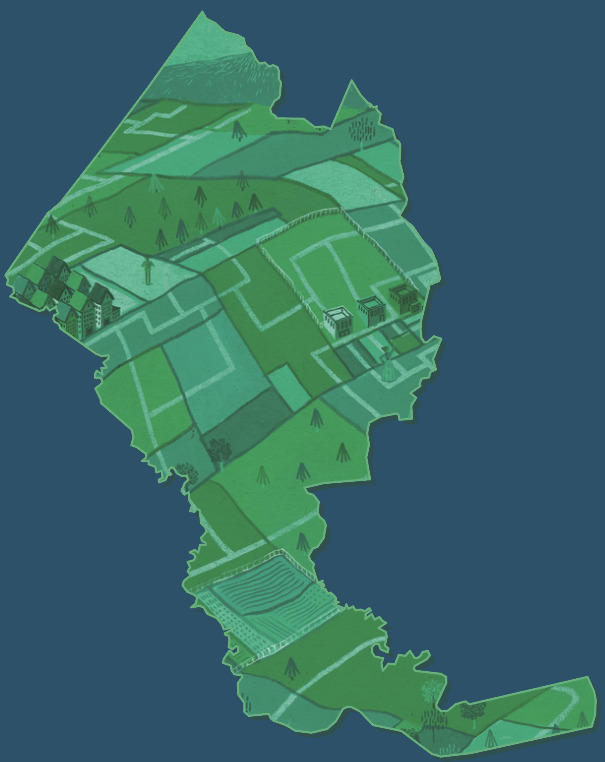 Jasper County Sc Gis Jasper County Parcel Data - Regrid