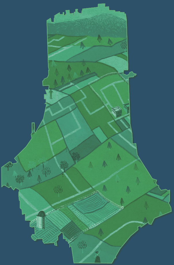 Marshall County, Tennessee parcel data - Regrid