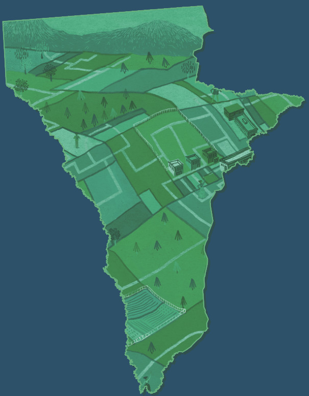 Timpson - Regrid: Nationwide property data and mapping tools for everyone